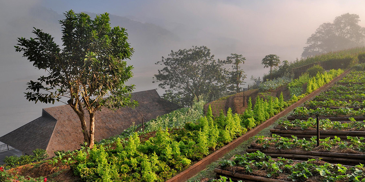 Nature_life